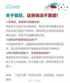 揭秘身上起红包，原因、识别与应对策略
