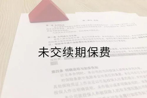 保险法的基本原则，保障与责任的平衡艺术