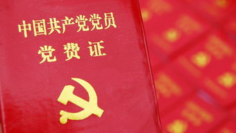 党费收缴标准，党的纪律与党员责任的体现