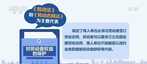 天津劳动局，守护劳动者权益，构建和谐劳动关系