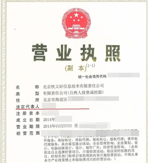 法人变更申请书，企业运营中的关键一步