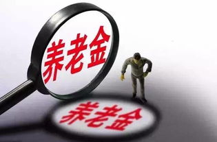 养老保险选择指南，找到最适合您的退休保障
