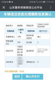 宜昌交通违章查询，一站式指南，让违章处理更便捷