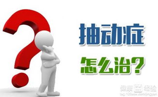 理解与预防，探讨小学生行为背后的心理与社会因素