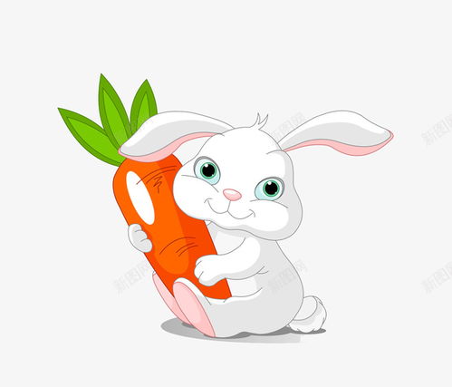 小白兔的萝卜盛宴，探索自然之美与健康之道