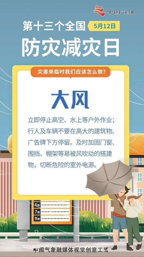 探索国家普法网，法律知识普及的桥梁