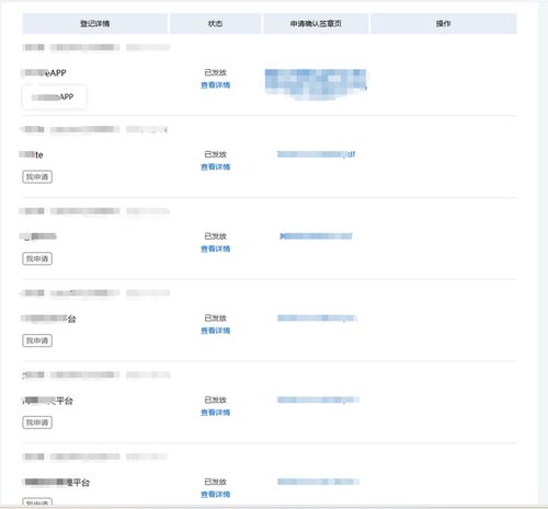 深入解析，软件著作权申请的流程、要点与策略