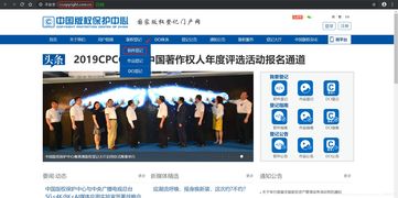 深入解析，软件著作权申请的流程、要点与策略