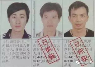 深入了解网上在逃通缉犯名单，识别、防范与合作