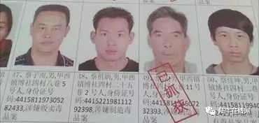 深入了解网上在逃通缉犯名单，识别、防范与合作