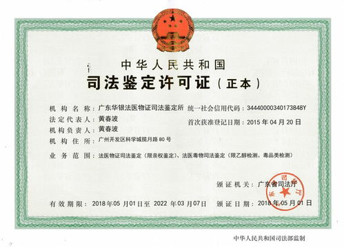揭开宁夏亲子鉴定的神秘面纱，科学、家庭与法律的交汇点