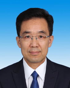 监事会主席，企业治理中的关键角色