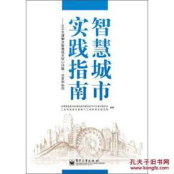共担风雨，夫妻共同债务的指南与智慧