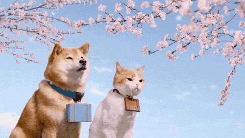 最佳搭档雷克斯，人与犬的非凡合作