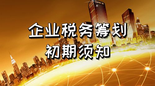 探索实业公司的经营范围，机遇与挑战