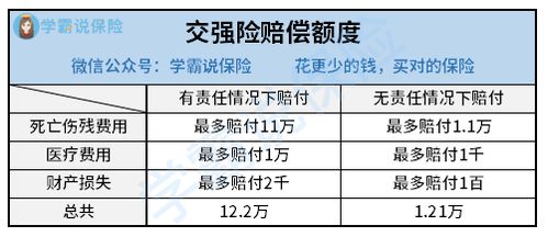 了解交强险赔偿，保障与责任的平衡