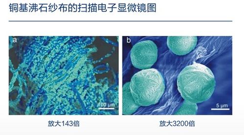 神奇的沸石，从工业应用到日常生活的多功能材料