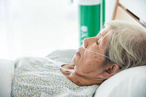 生命的最后选择，探讨安乐死合法化的伦理与现实
