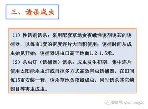深入了解寄生虫感染，识别、预防与治疗