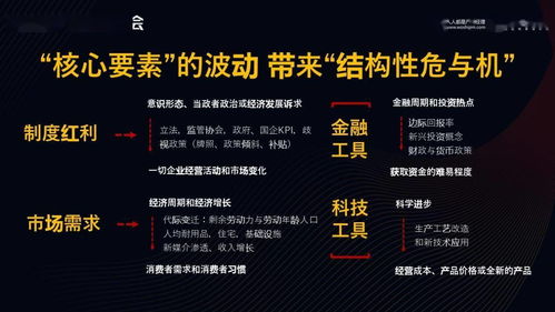 限购令的时钟，把握时机，洞察市场脉搏