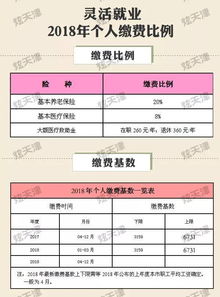 医疗保险缴费比例，深入了解与合理规划