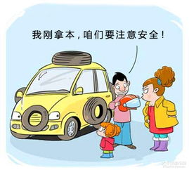 红灯停，绿灯行，为何开车时遵守交通信号至关重要
