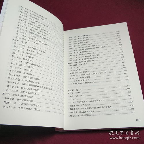 民法总则的施行，法律生活的新篇章