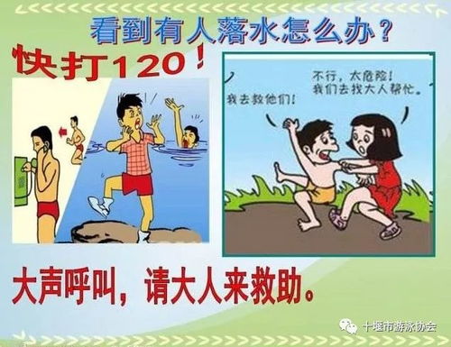 面对校园悲剧，如何理解和预防学生意外伤害