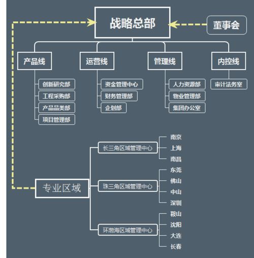 解密公司组织结构，如何构建高效、灵活的企业架构