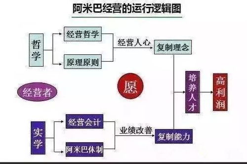 解密公司组织结构，如何构建高效、灵活的企业架构