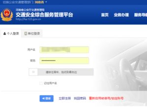 违章查询指南，揭开违章记录查询的时间之谜