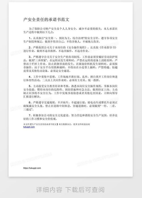 承诺的力量，个人承诺书的魔力与实践
