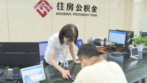探索东莞房管局，一站式了解房产管理与服务