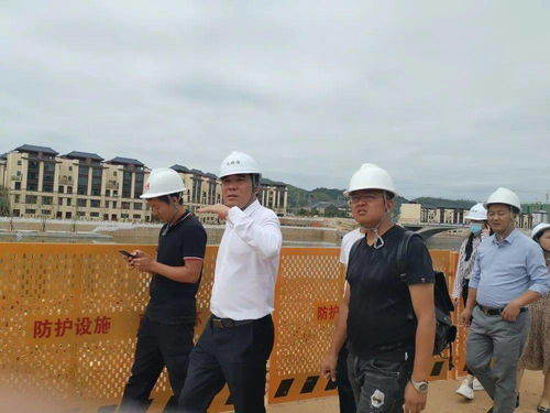 劳动法中的婚假，权利与实践的桥梁