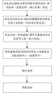 农业银行贷款业务全解析，政策、流程与客户体验