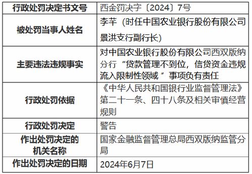 农业银行贷款业务全解析，政策、流程与客户体验
