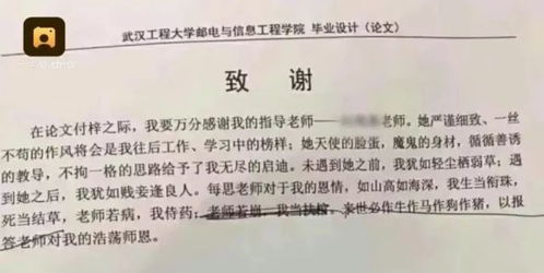 法律学毕业论文，探索法律的边界与实践