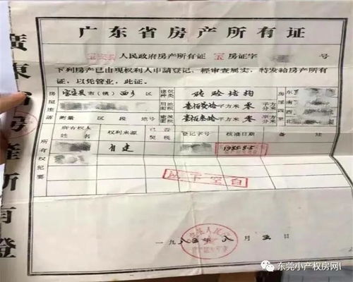 深入了解小产权房转让合同，风险、要点与实用建议