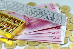 社保滞纳金，你真的了解吗？一文教你轻松计算