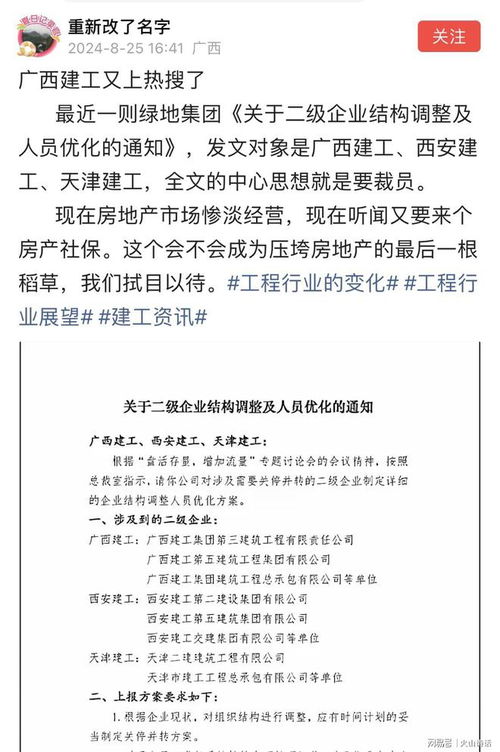 大型企业标准的制定与影响，塑造行业未来的基石