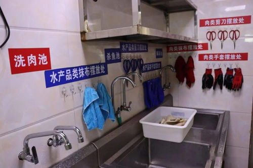 重庆市人事局，人才管理与服务的桥梁