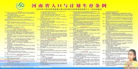 河北省计划生育条例，政策解读与社会影响分析