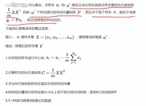 深入了解进口关税，计算方法、影响因素及实例分析