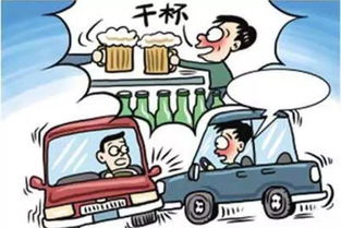生命的警钟，酒驾悲剧与我们的责任