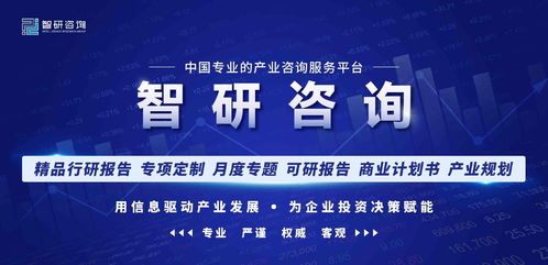 深入了解监管条件查询，如何确保合规与效率