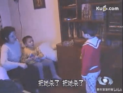 北京单独二胎政策，家庭的希望之光