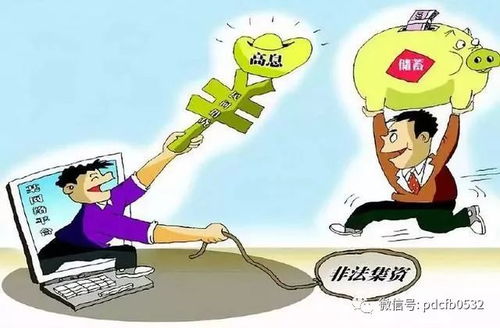 揭开哈尔滨非法集资的面纱，识别、防范与应对策略
