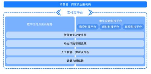 深入了解纳税人识别码，它的重要性和应用