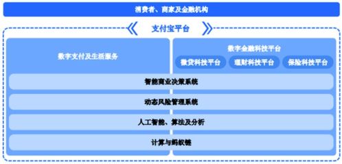 深入了解纳税人识别码，它的重要性和应用