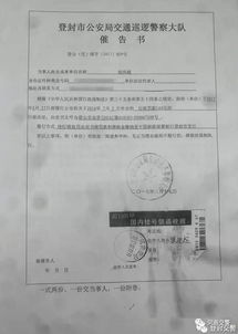 河南交通事故赔偿，法律解读与案例分析